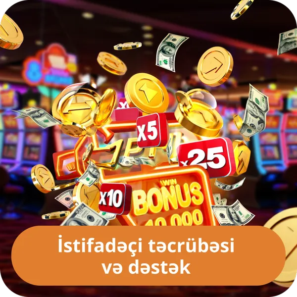 İstifadəçi təcrübəsi və dəstək